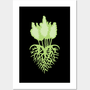 Aspen Tree Heart Root Posters and Art